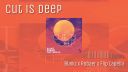 Blaikz x Robaer x Flip Capella - Cut Is Deep