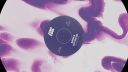 ARMAA - Let You Go