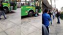 Biela mačka chcela spáchať samovraždu, vybrala si na to autobus