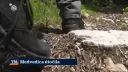 V Podpoľaní napadla medvedica dvoch mužov, jednému rozdriapala tvár. 
Zdroj: ht