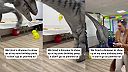 Dinosaurus predčasne ukončil detskú oslavu