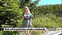 Prešiel rok od udalosti zabitého človeka medveďom