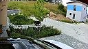 Mladý medveď v Sučanoch v intraviláne za bieleho dňa