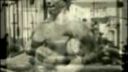 Legendárne bicepsy Arnolda Schwarzeneggra