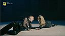 Kylie Minogue/Years&Years - A Second to Midnight 2021