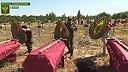 Masové pohreby separatistov
