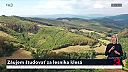 Slovensku hrozí, že nebude mať dostatok kvalifikovaných lesníkov