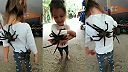 Dievčatko sa hrá s tarantulami