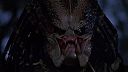 Predátor (1987) - Nejlepší scénky