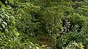 Skrytá vášeň 186