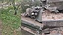 T-90 ktorá poslúži na denacifikáciu okupantov