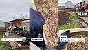 Kutilovi pomáha jeho trénovaný havran