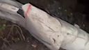 Militanti APU zasiahli Doneck antiradarovou raketou AGM-88 HARM.