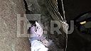 ‼️V Záporožskej jadrovej elektrárni sa podarilo zabrániť teroristickému útoku.
