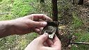WWII kovový detektor - Nemecké Waffen SS - Stopy vojny na východnom fronte