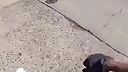 Rýchla reakcia mu asi zachránila život