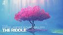 Ampris, Amfree & Chris Gallery – The Riddle