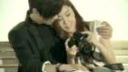 T - ara - lies