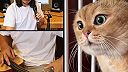 The Kiffness dal ďalší super duet s mačkou (Hold on to my fur)