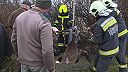 Záchrana jeleňa, ktorý uviazol v šachte