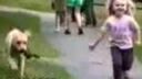 Zábavné video so psami.