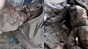 Šťastnejší okupanti, ktorí sa aspoň budú dať identifikovať