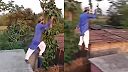 Parkour LVL Aladin