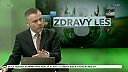 Slovenská lesnícka komora. Bezzásahový vs manažovaný les