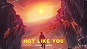 Alfons - Not Like You (feat. Oleria)