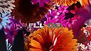 Felix Jaehn - All For Love ft. Sandro Cavazza