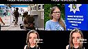 Tik Tok a jeho tajomstvá,,obchod z bielym mäsom