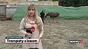 Los Niko sa túlal po Zemplíne. Po pobyte v minizoo ho čaká nový domov
