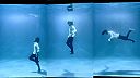 Perfektná choreografia pod vodou