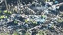 Kamikadze dron denacifikoval ukro "vojaka"