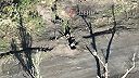 Ukrajinský vojak sa snažil zostreliť prilietajúci dron (CITLIVÉ ZÁBERY)