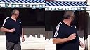 Ako zaobchádzať s drzými čajkami?