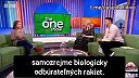Zábava s Grétkou vytvorenou na počítači