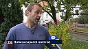 Na hubára pri Prievidzi zaútočil medveď. Medzi Malinovou a Nitrianskym Pravnom
