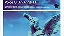 Matt Darey & Marcella Woods - Voice Of An Angel