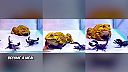Zaujímavé video zo súžitia žaby a škorpiónov