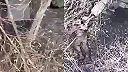 Ivan bude potrebovať zubára... na identifikáciu