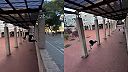 Tak to bol vskutku riskantný, no perfektne prevedený parkúrový skok