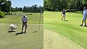 Teritoriálna „motherfucker“ labuť na golfovom ihrisku
