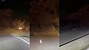 Vlna imigrantov spozorovaná v Ceuta (Španielsko)