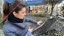 Kusy lode Novočerkask