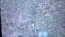 Okupant zostreluje dron