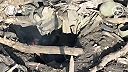 Avdiivka #111 V hromade mŕtvol okupantov je ťažko nájsť živý cieľ