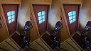 Na schodisku na babku čakal moriak