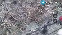 Rusi precvičujú ukrajincov v behu