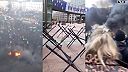 Stupňujúce sa protesty farmárov v Bruseli